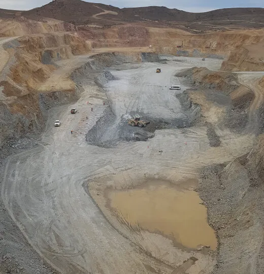 minera-don-nicolas-gold-520x540