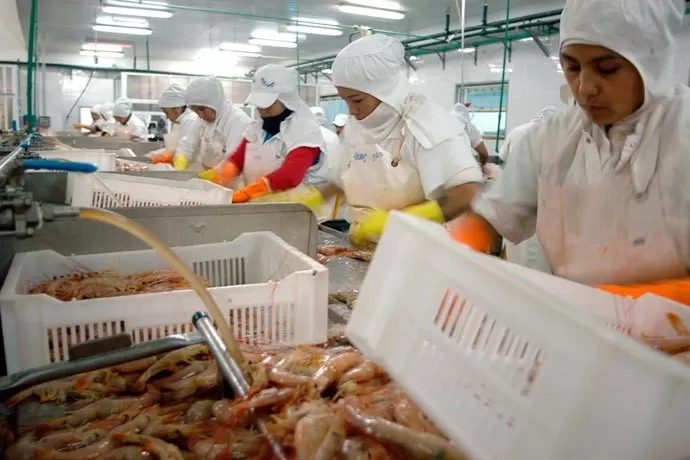 revista-puerto-procesamiento-de-langostino