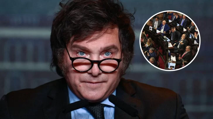 JAVIER-MILEI-SENADO-728x410