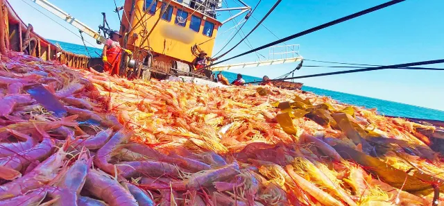 a2652498e27c6ed7113f2d363c632060