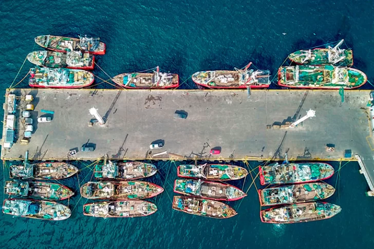 parate-puerto-madryn-728x486