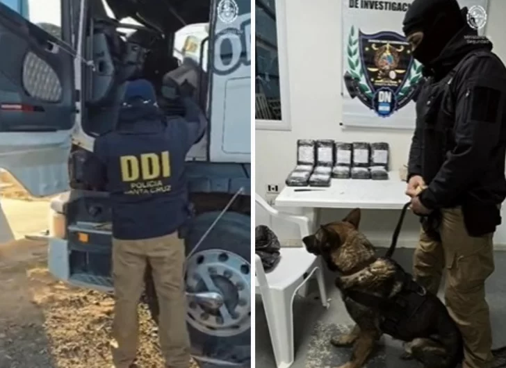 WhatsApp-Image-2025-07-27-at-13.37.46-728x530