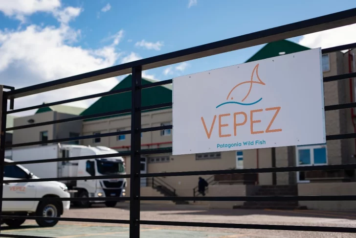 WhatsApp-Image-2024-11-16-at-22.41.52-728x486