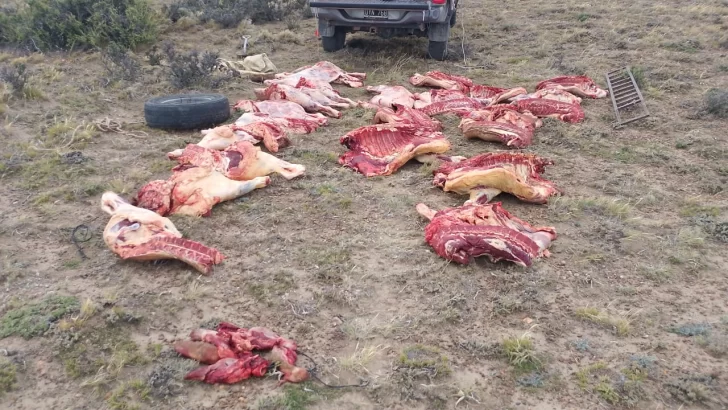 abigeato-gregores-728x410