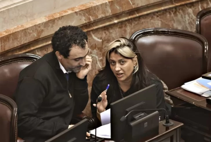 carambia-gadano-senado-ley-bases-y-paquete-fiscal-728x492