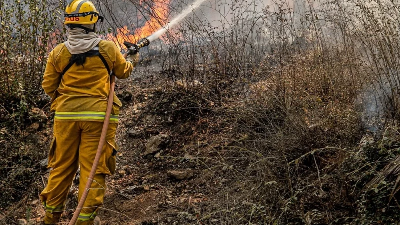 66971fb4ac946_800_450!