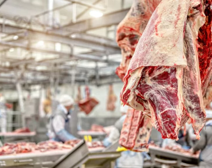 carne-con-hueso-asado-728x575