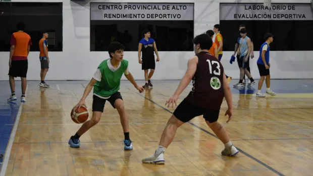 seleccion-araucania-620x349-1