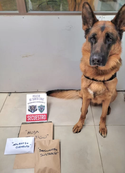 el-calafate-narcotrafico-23d0j9230d2-2-526x728