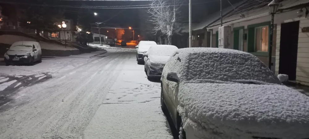 ca82c93d-5160-4d76-9cca-b9b487a9da87