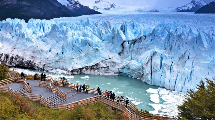 calafate-728x409