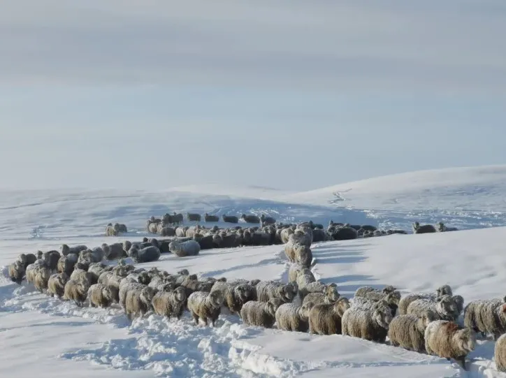 Captura-de-pantalla-2024-06-25-193452
