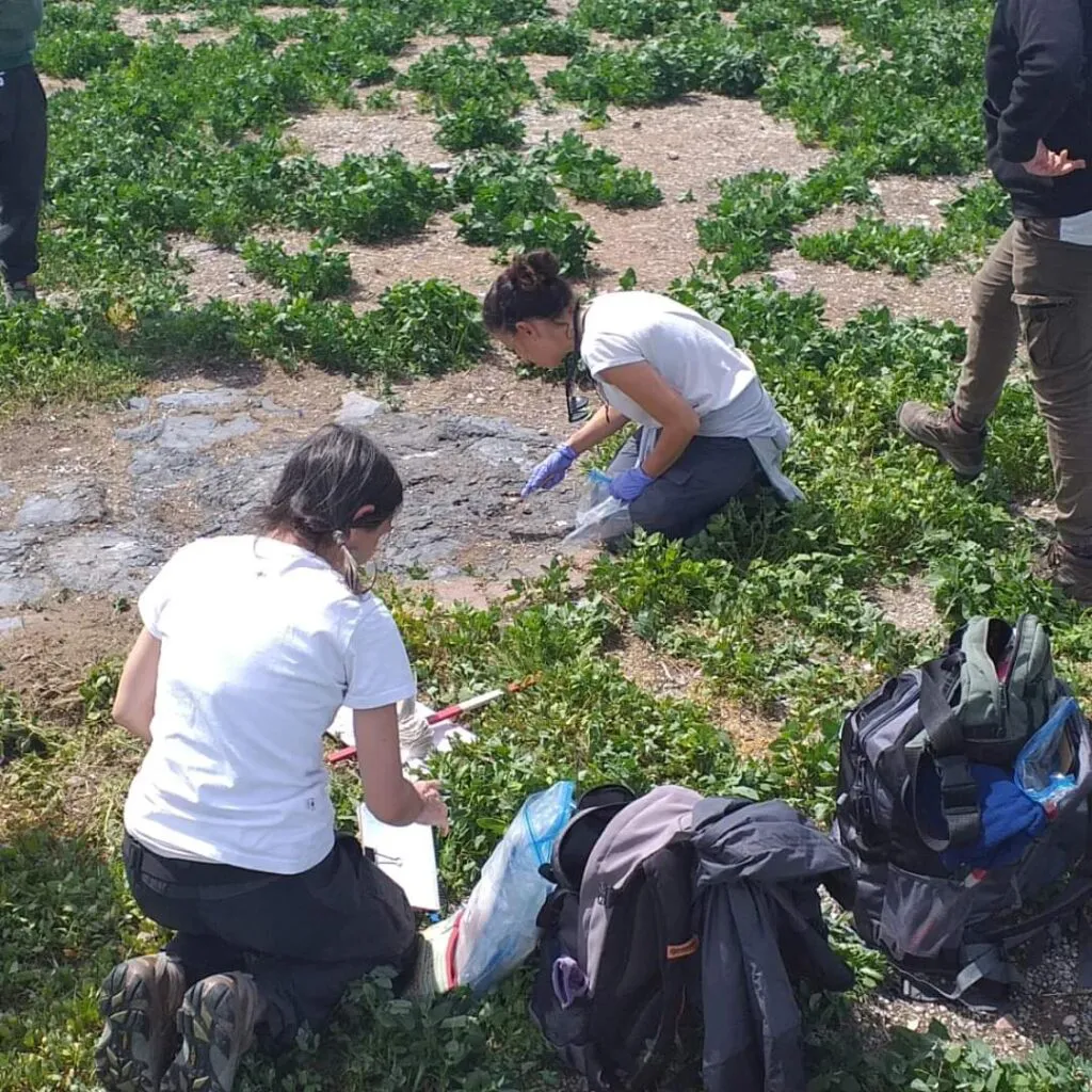 FB_IMG_1730396489792-1024x1024