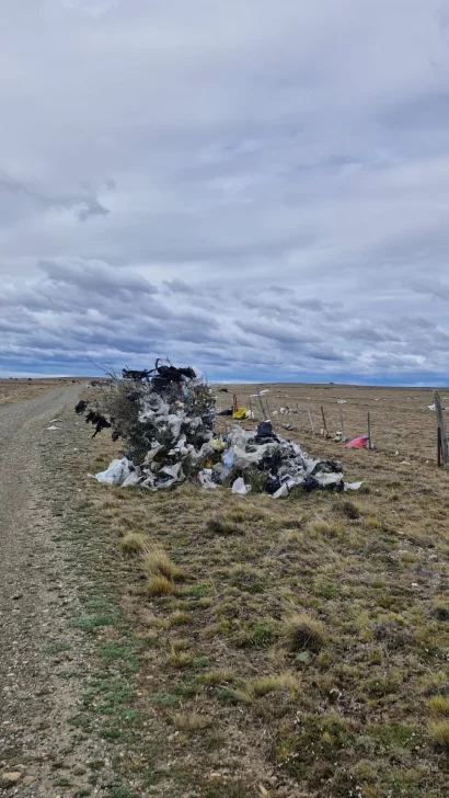 Basura-y-microplasticos01-410x728 (1)