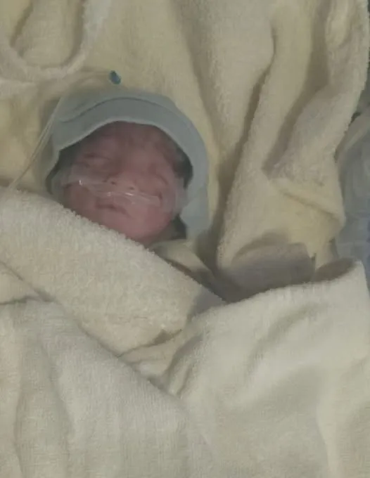 486280557_3940286936288256_5545456298736434351_n-1