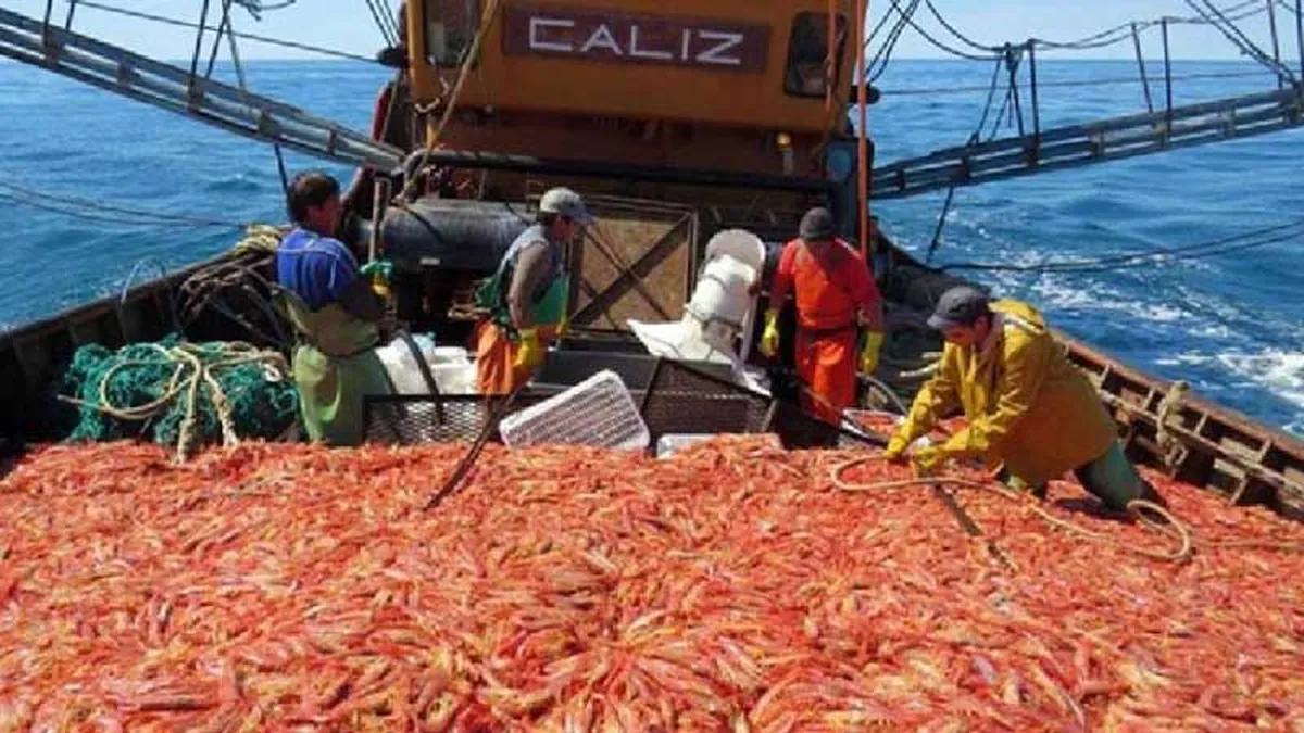 langostinos-banacloyjpg