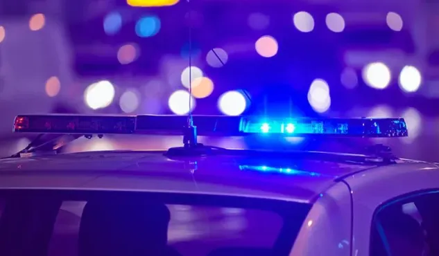 9561ec391bf9e3159c6d2d06e9f34641