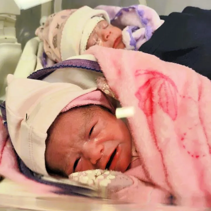 multimedia.normal.93743f8e1b059720.Z2VtZWxhcyAxX25vcm1hbC53ZWJw